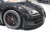 Salonul Auto de la Beijing 2014: Bugatti Legend Black Bess