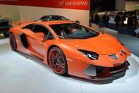 Salonul Auto de la Frankfurt 2013: Hamann Nervudo