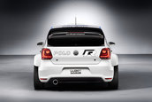 Salonul Auto de la Frankfurt: Volkswagen Polo R, mica bestie de 300 cp
