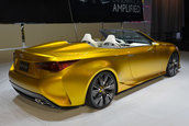 Salonul Auto de la Los Angeles 2014: LF-C2 Concept