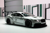 Salonul Auto de la Paris 2012: Bentley Continental GT3