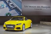 Salonul Auto de la Paris 2014: Audi TT Roadster