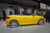 Salonul Auto de la Paris 2014: Audi TT Roadster