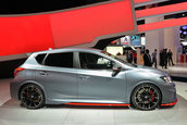 Salonul Auto de la Paris 2014: Nissan Pulsar Nismo Concept