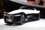 Salonul Auto de la Tokyo 2013: Nissan BladeGlider Concept