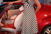 Salonul Auto Frankfurt 2007