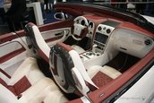 Salonul Auto Frankfurt 2007