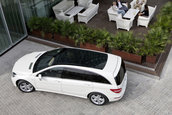 Salvati balenele: Facelift pentru Mercedes R-Class