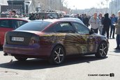 SAMB 2013