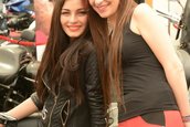SAMB 2013
