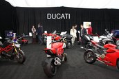 SAMB 2013