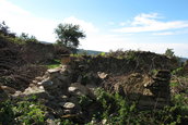 Satul Lindenfeld