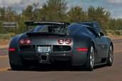 Scanning: Bugatti Veyron isi arata muschii