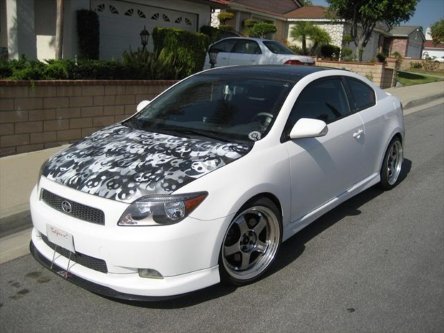Scion invadat de ursi Panda Scion invadat de ursi Panda