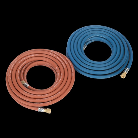 Scule Sealey WH10