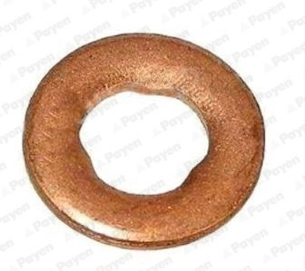 Scut protectie termica, instalatie. injectie (KG5340 PAYEN) CHRYSLER,DODGE,FORCE,FREIGHTLINER,JEEP,M...