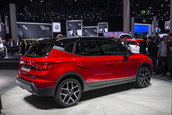 SEAT Arona - Poze reale
