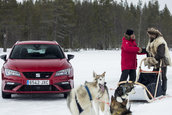 Seat Leon Cupra ST versus 6 caini Husky