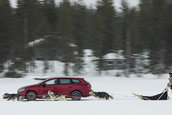 Seat Leon Cupra ST versus 6 caini Husky