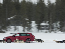 Seat Leon Cupra ST versus 6 caini Husky