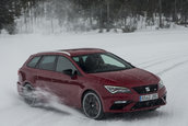Seat Leon Cupra ST versus 6 caini Husky