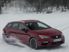 Seat Leon Cupra ST versus 6 caini Husky