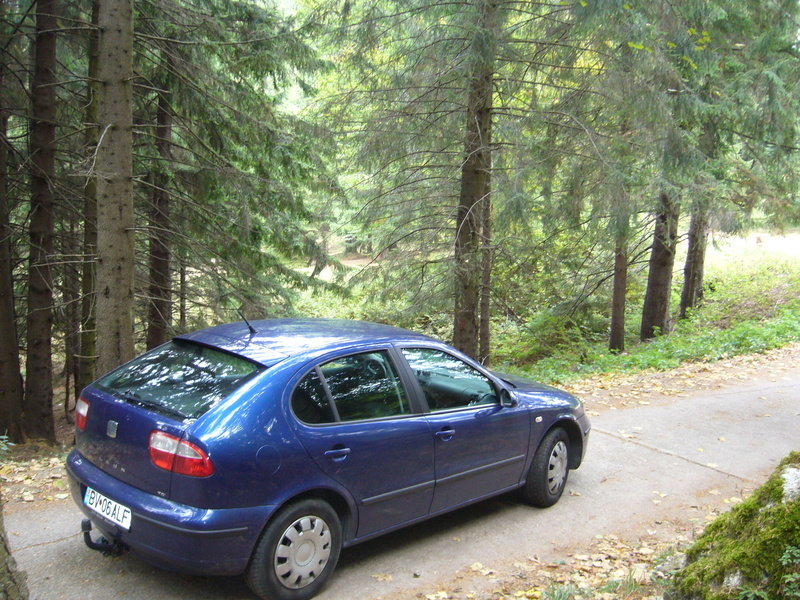 Seat Leon Leutza