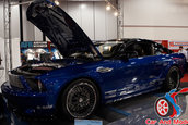 SEMA 2006 CARS