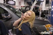 SEMA 2007 CARS