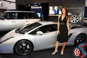 SEMA 2007 GIRLS