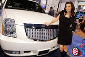 SEMA 2007 GIRLS