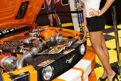 SEMA 2007 GIRLS