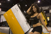 SEMA 2007 GIRLS