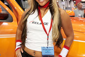 SEMA 2007 GIRLS