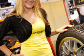 SEMA 2007 GIRLS