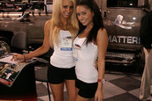 SEMA 2007 GIRLS