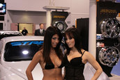 SEMA 2007 GIRLS
