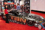 SEMA 2007 GIRLS
