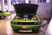SEMA 2008