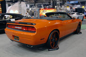 SEMA 2008