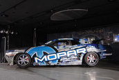 SEMA 2008
