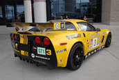 SEMA 2008