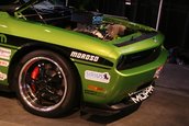 SEMA 2008