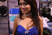 SEMA 2008