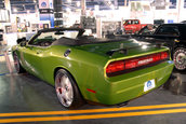 SEMA 2008