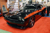 SEMA 2008