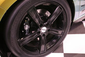 SEMA 2008