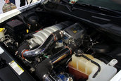 SEMA 2008