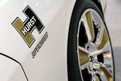 SEMA 2008
