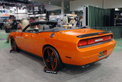 SEMA 2008